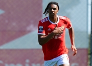 雷火电竞入驻-包含本菲卡险胜尤文，博格巴扑点救主英超的词条