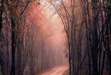 开云体育在线-魔幻昨夜！掘金铁蹄踏碎国足草坪裁判哨声引爆世纪争议